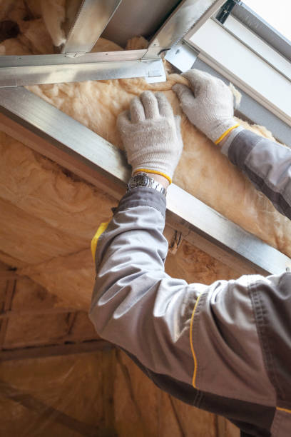 Best Spray Foam Insulation in La Cresta, CA