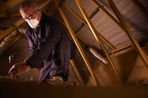 Best Eco-Friendly Insulation in La Cresta, CA